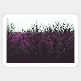 Purple Barren Branches Sticker